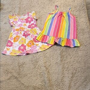 (2) Children Place Dresses